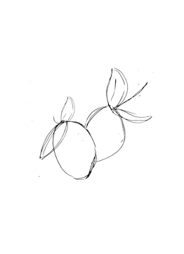 When Life Gives You Lemons