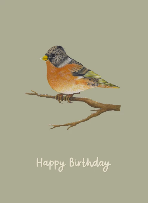 Happy Birthday Songbird