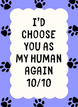 I'd Choose You as My Human Again