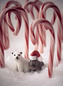 Happy Holidays