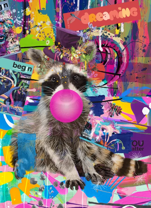 Raccoon