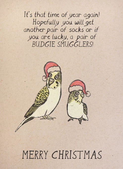Budgie Smugglers Christmas