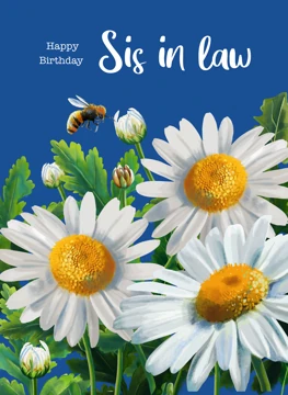 Happy Birthday Sis in Law