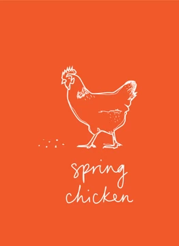 Spring Chicken White