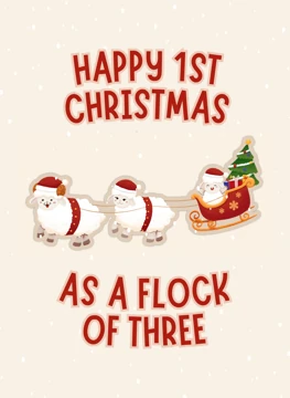 Happy 1st Christmas As A Flock Of Three