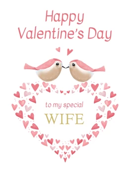 Happy Valentine's Day - To My Special Wife