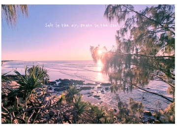 Salt in the Air, Peace in the Soul
