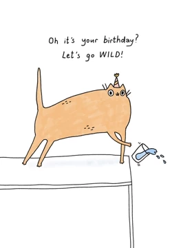 Let’s Go Wild Birthday Cat