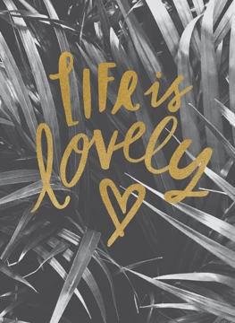 Life is Lovely