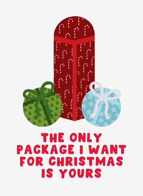The Only Package I Want For Christmas
