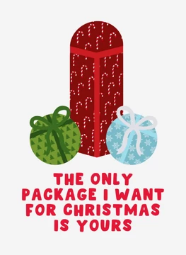The Only Package I Want For Christmas