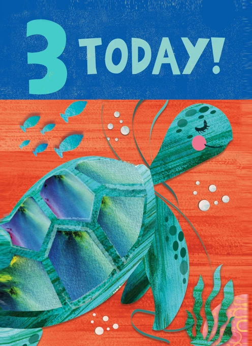 3 Today Turtle