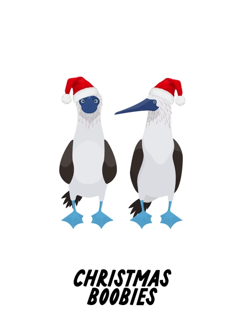 Christmas Boobies