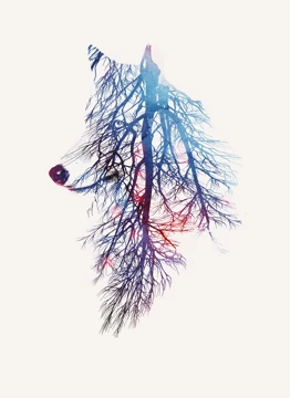 My Roots