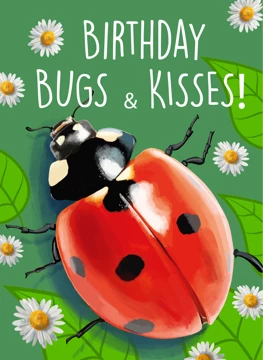 Birthday ladybird