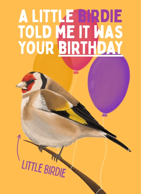 A Little Birdie Told Me It Was Your Birthday