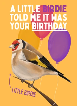 A Little Birdie Told Me It Was Your Birthday