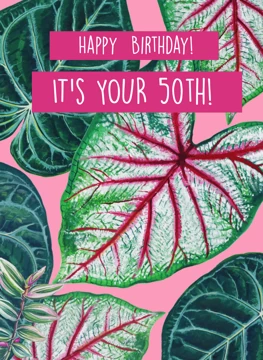 50th Birthday Houseplants