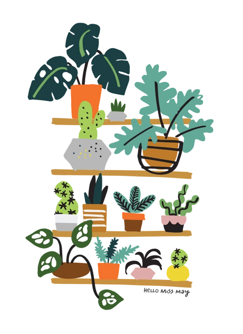 Plant shelfie