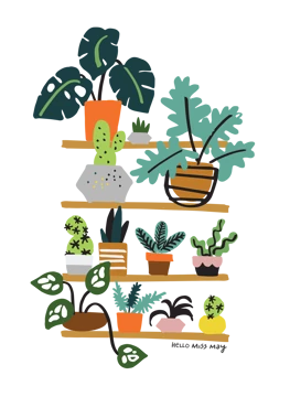 Plant shelfie