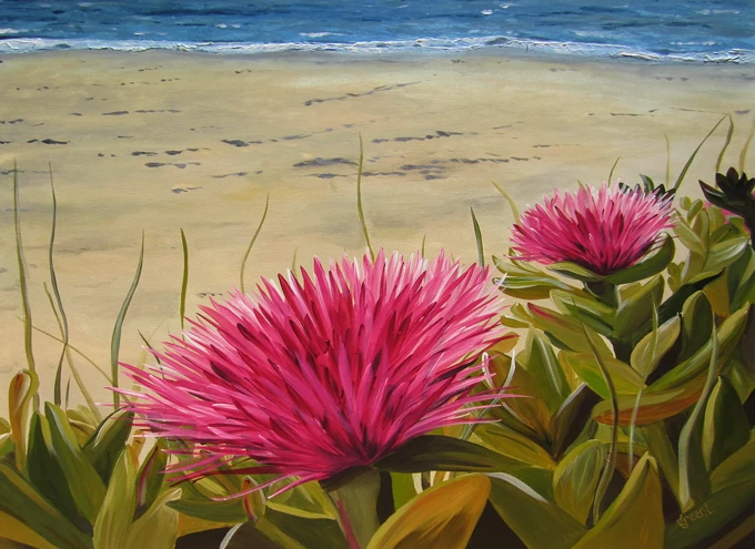 Semaphore Beach S.A