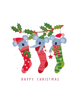 Happy Christmas Koala Trio in Stockings