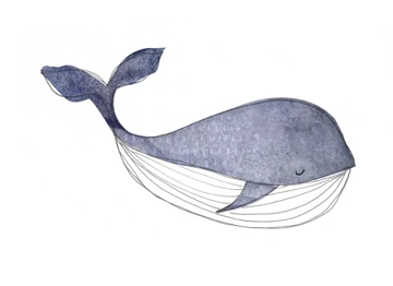 Baby Whale