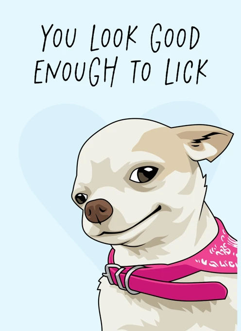 You Look Good Enough to Lick - Chihuahua
