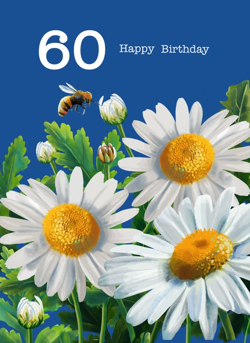 60 Happy Birthday Daisies