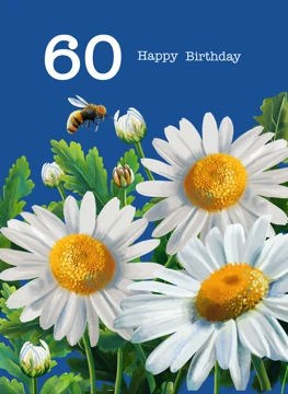 60 Happy Birthday Daisies