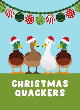 Christmas Quackers - Ducks