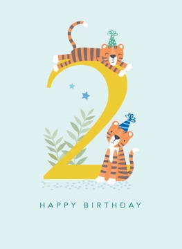 Age 2 Tiger Birthday