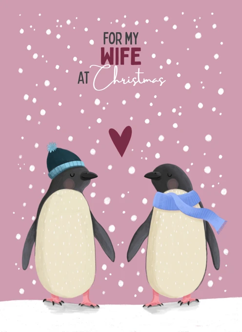 For My Wife at Christmas