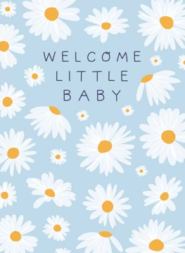 Welcome Little Baby - Boy