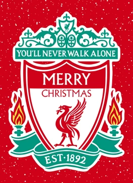 YOU'LL NEVER WALK ALONE