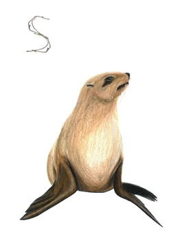 Seal