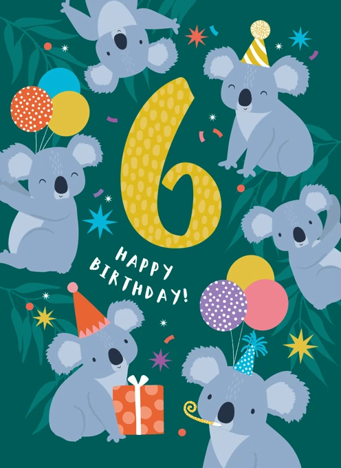 6th Koala Party