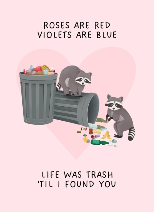 Life Was Trash 'Til I Found You - Raccoons