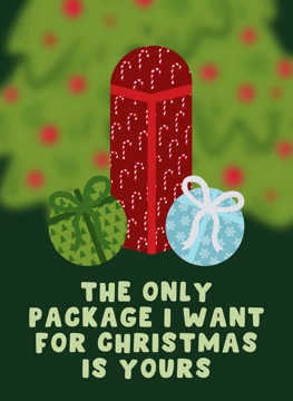 The Only Package I Want For Christmas