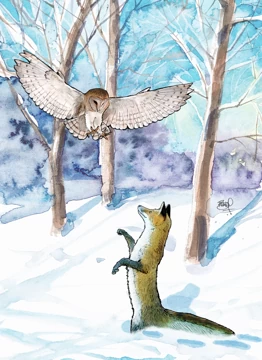 Fox And Owl