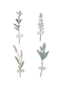Botanic Stems