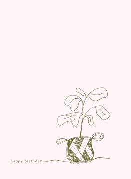Birthday Fiddle Leaf