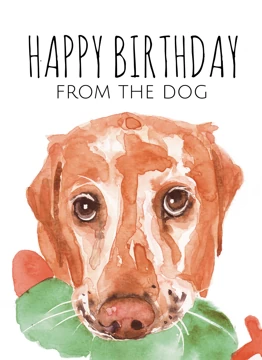 Happy Birthday From The Dog