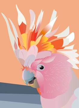 Bold & Brilliant | Cockatoo Celebration Card
