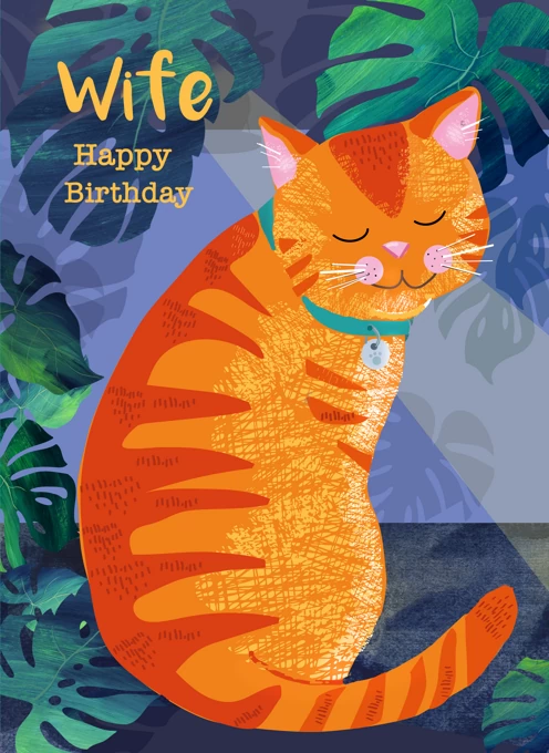 Wife Happy Birthday Cat