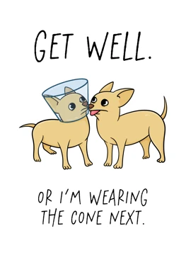 Get Well - Chihuahua