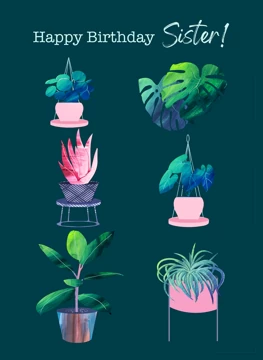 Sister Houseplants birthday