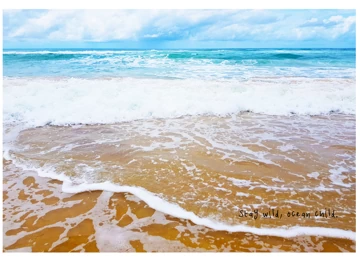 Stay Wild, Ocean Child