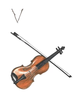 Violin