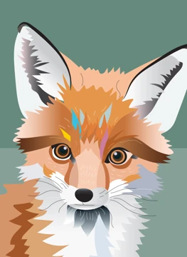 Curious & Clever | Fox Card